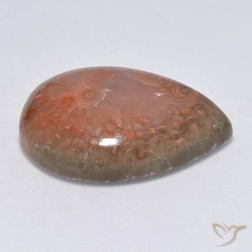 Coral Gemstone in 18.9 x 14.6 mm Size for Sale, Coral Stone in Multicolor Color