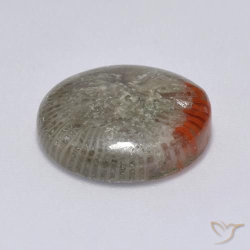 Coral Gemstone in 14 mm (calibrated) Size for Sale, Coral Stone in Multicolor Color