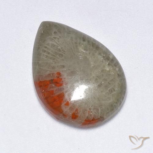 10.4 ct Pear Coral, 20.2 x 14.4 mm From Indonesia, Photo A