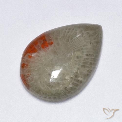 10.40 ct Multicolor Coral Stone, Natural Coral in Pear Cabochon Shape for Sale