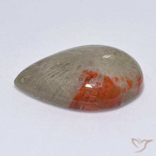 Coral Gemstone in 20 x 15 mm (calibrated) Size for Sale, Coral Stone in Multicolor Color