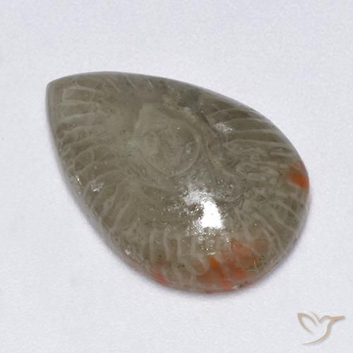 5.79 ct Multicolor Coral Stone, Natural Coral in Pear Cabochon Shape for Sale