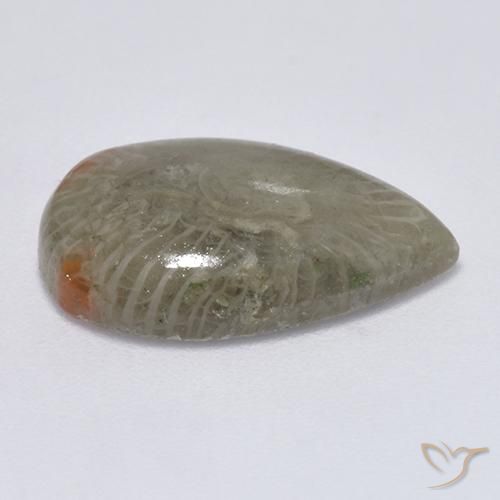 Coral Gemstone in 17.3 x 11.8 mm Size for Sale, Coral Stone in Multicolor Color