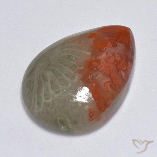 8.14 ct Pear Coral, 18.3 x 13.1 mm From Indonesia, Photo A