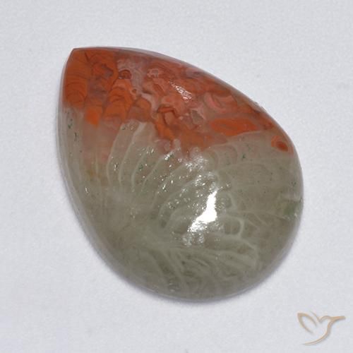 8.14 ct Multicolor Coral Stone, Natural Coral in Pear Cabochon Shape for Sale