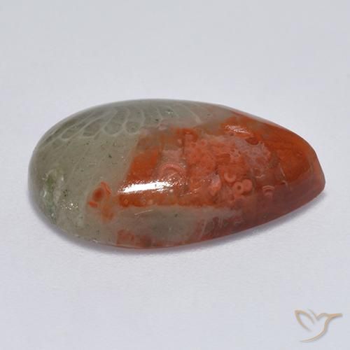 Coral Gemstone in 18 x 13 mm (calibrated) Size for Sale, Coral Stone in Multicolor Color