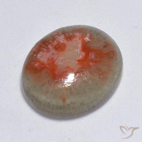 7.75ct Natural Multicolor Coral, Oval, Translucent, Photo A