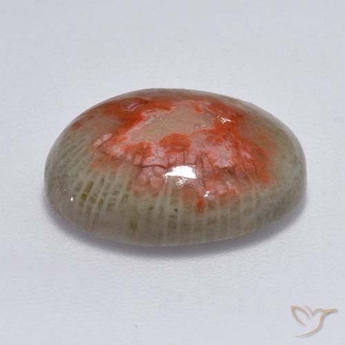 Coral Gemstone in 15.1 x 12.7 mm Size for Sale, Coral Stone in Multicolor Color