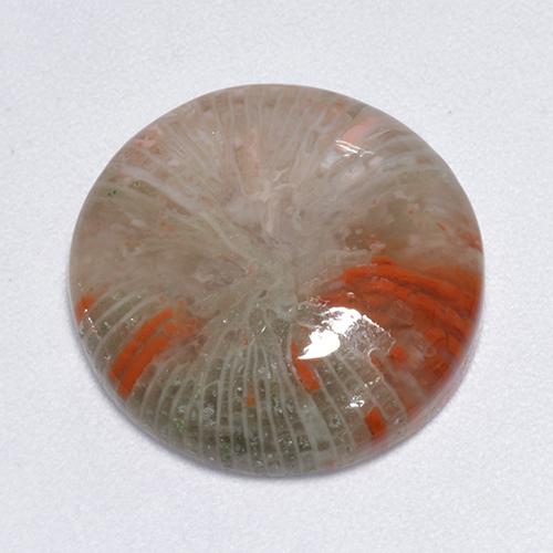 Multicolor Coral Gem - 9.3ct Round Cabochon (ID: 518178)