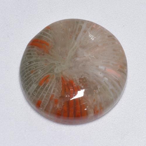 9.25 ct Multicolor Coral Stone, Natural Coral in Round Cabochon Shape for Sale