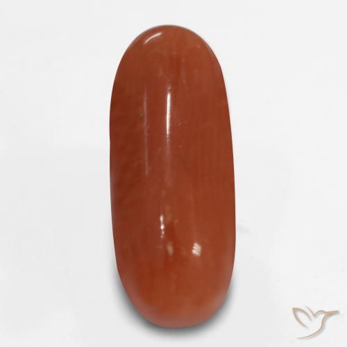 2.47 ct Red Coral, 12.7 x 4.9 mm Oval Cut From Australia, Photo A
