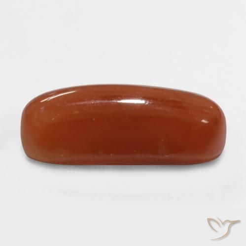 Coral Gemstone in 12.7 x 4.9 mm Size for Sale, Coral Stone in Fire Red Color