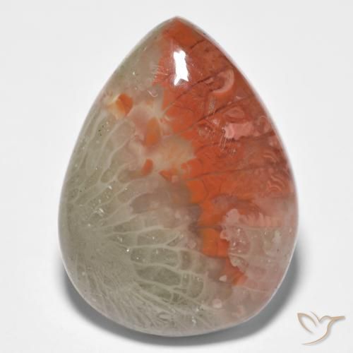 10.86 ct Pear Coral, 19.9 x 15 mm From Indonesia, Photo A