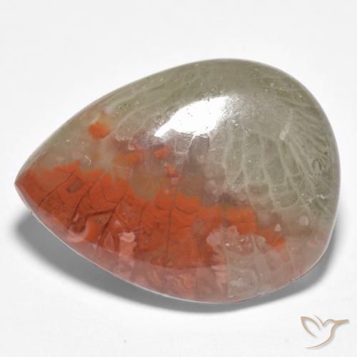 10.86 ct Multicolor Coral Stone, Natural Coral in Pear Cabochon Shape for Sale