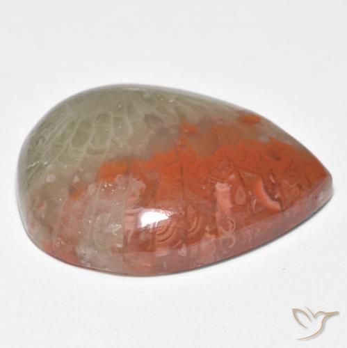 Coral Gemstone in 20 x 15 mm (calibrated) Size for Sale, Coral Stone in Multicolor Color