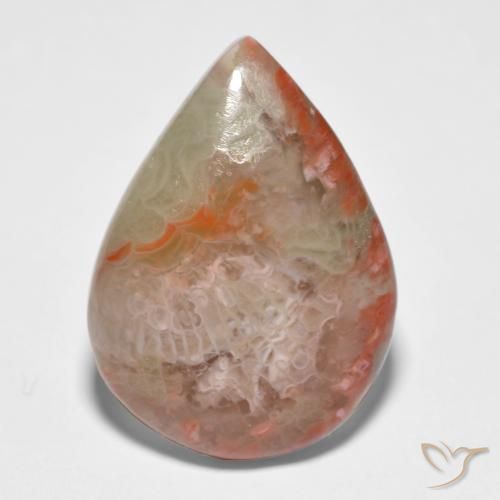 11.65ct Natural Multicolor Coral, Pear Shape, Translucent