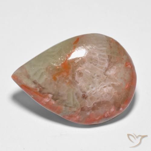 11.65 ct Multicolor Coral Stone, Natural Coral in Pear Cabochon Shape for Sale
