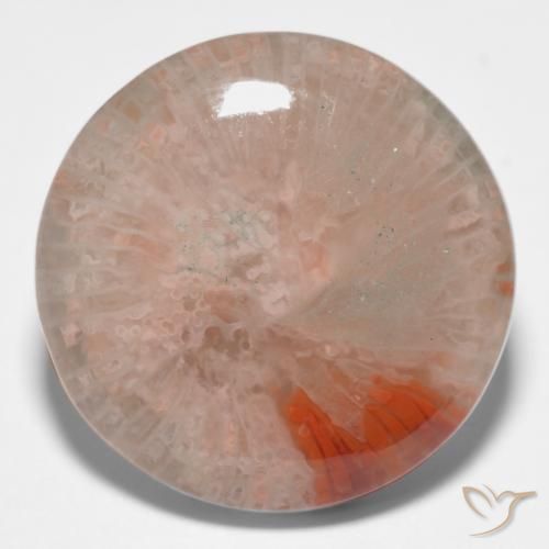 11.09 ct Round Coral, 17.2 mm From Indonesia, Photo A