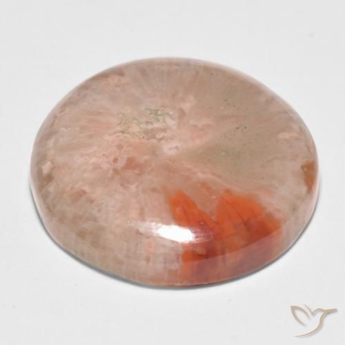 Coral Gemstone in 17 mm (calibrated) Size for Sale, Coral Stone in Multicolor Color