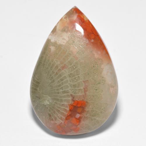 15.90 ct Multicolor Coral Gemstone, Coral Gem in Pear Cabochon Shape for Sale.