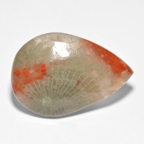 15.90 ct Multicolor Coral Stone, Natural Coral in Pear Cabochon Shape for Sale
