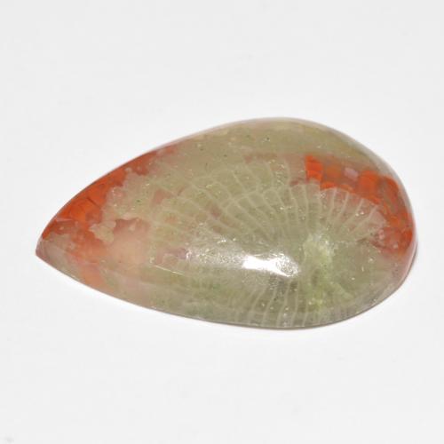 Coral Gemstone in 25.1 x 17.2 mm Size for Sale, Coral Stone in Multicolor Color