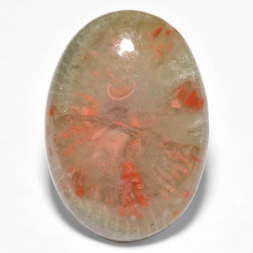 10.04 ct Multicolor Coral Gemstone, Coral Gem in Oval Cabochon Shape for Sale.