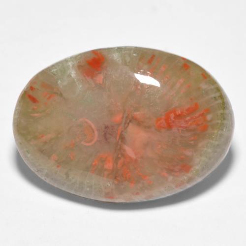 10.04 ct Multicolor Coral Stone, Natural Coral in Oval Cabochon Shape for Sale