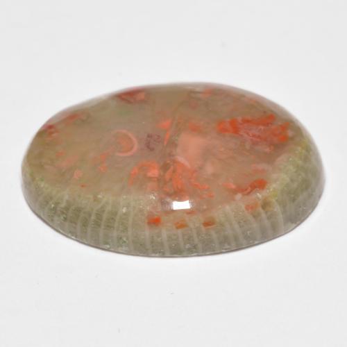 Coral Gemstone in 19.7 x 14 mm Size for Sale, Coral Stone in Multicolor Color