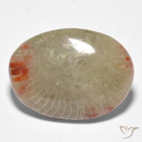 8.81 ct Multicolor Coral Stone, Natural Coral in Oval Cabochon Shape for Sale