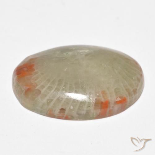 Coral Gemstone in 19.3 x 14.3 mm Size for Sale, Coral Stone in Multicolor Color