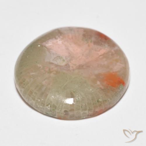Coral Gemstone in 18 mm (calibrated) Size for Sale, Coral Stone in Multicolor Color