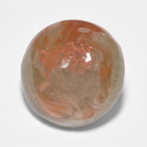 Multicolor Coral Gem - 4.7ct Round Cabochon (ID: 552038)