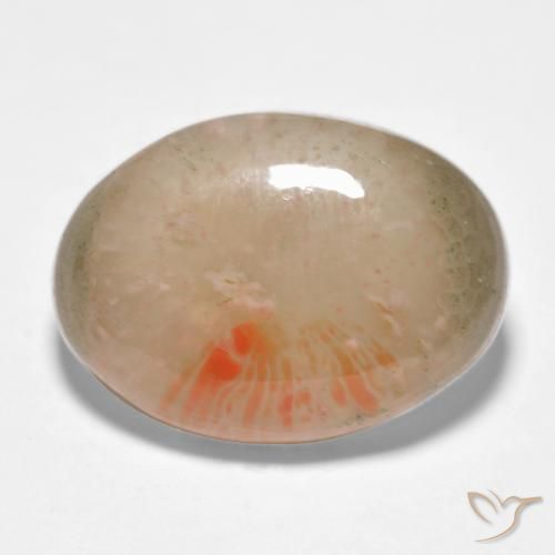 10.34 ct Multicolor Coral Stone, Natural Coral in Oval Cabochon Shape for Sale