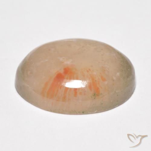 Coral Gemstone in 18 x 13 mm (calibrated) Size for Sale, Coral Stone in Multicolor Color