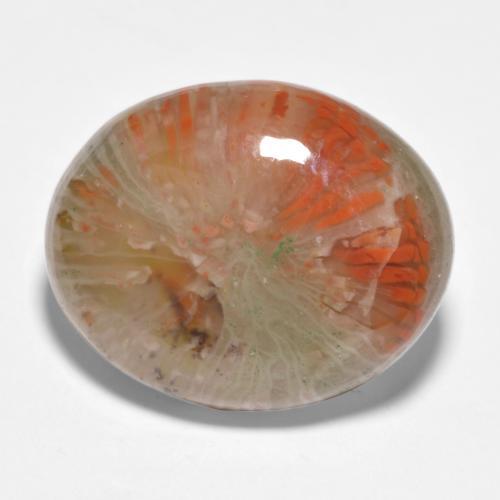 11.35 ct Multicolor Coral Stone, Natural Coral in Oval Cabochon Shape for Sale