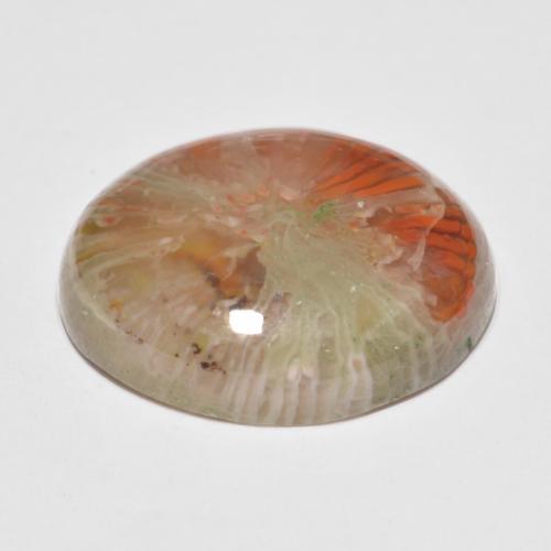 Coral Gemstone in 17.9 x 14.5 mm Size for Sale, Coral Stone in Multicolor Color