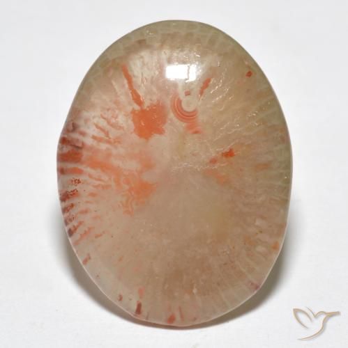 9.95ct Natural Multicolor Coral, Oval, Translucent