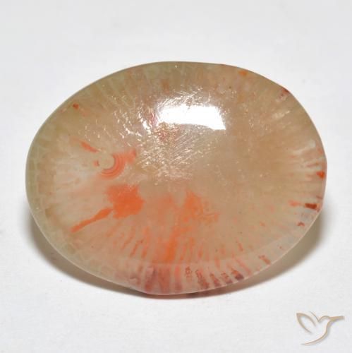 9.95 ct Multicolor Coral Stone, Natural Coral in Oval Cabochon Shape for Sale