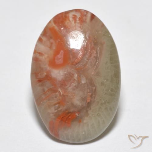 8.18ct Natural Multicolor Coral, Oval, Translucent