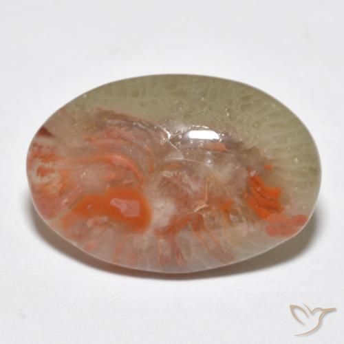 8.18 ct Multicolor Coral Stone, Natural Coral in Oval Cabochon Shape for Sale