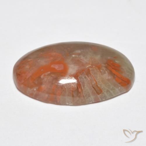Coral Gemstone in 18 x 13 mm (calibrated) Size for Sale, Coral Stone in Multicolor Color