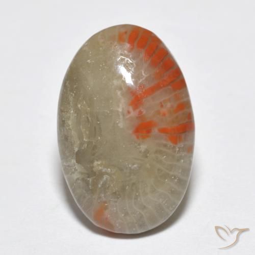 6.51ct Natural Multicolor Coral, Oval, Translucent