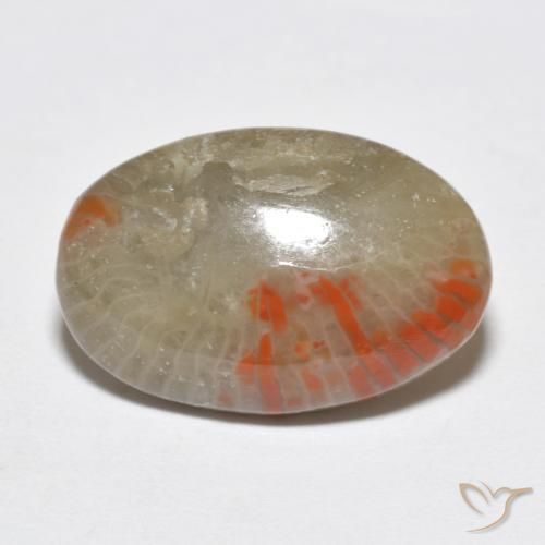 6.51 ct Multicolor Coral Stone, Natural Coral in Oval Cabochon Shape for Sale