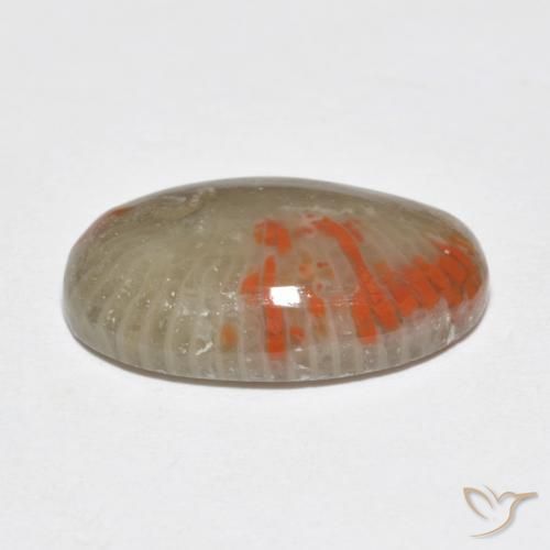 Coral Gemstone in 16.8 x 11.2 mm Size for Sale, Coral Stone in Multicolor Color