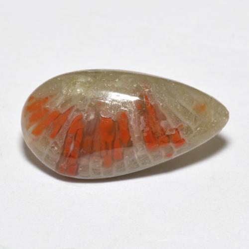 4.62 ct Multicolor Coral Stone, Natural Coral in Pear Cabochon Shape for Sale