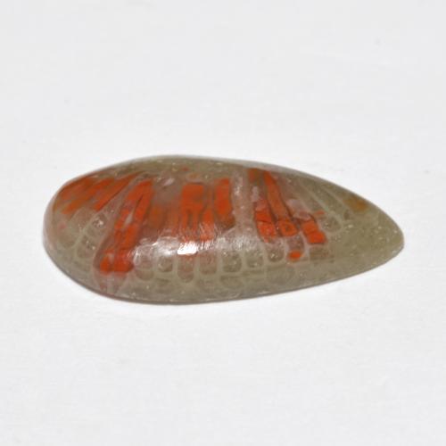 Coral Gemstone in 18 x 9.5 mm Size for Sale, Coral Stone in Multicolor Color
