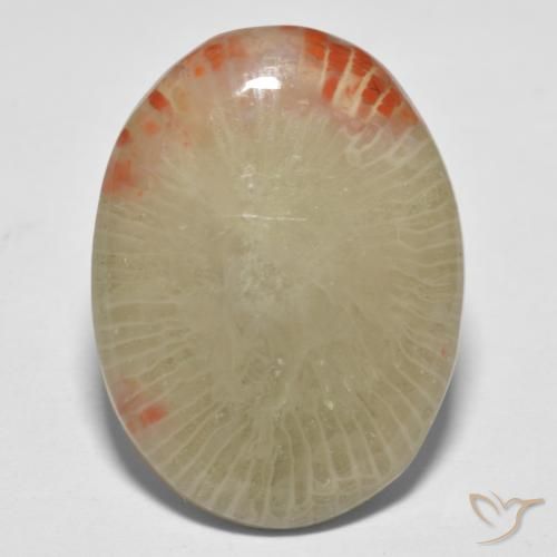 13.10ct Natural Multicolor Coral, Oval, Translucent, Photo A