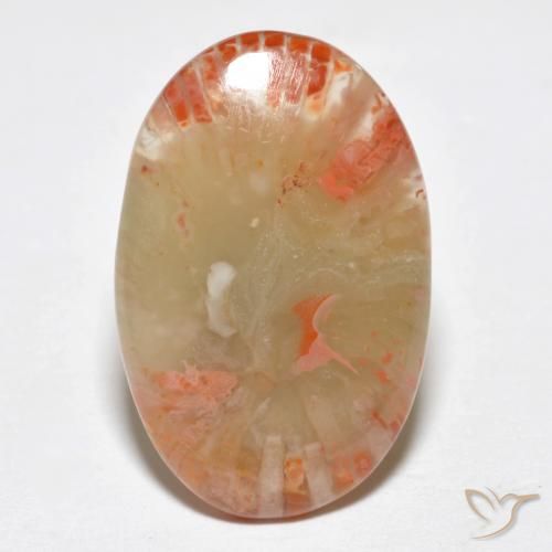 6.23ct Natural Multicolor Coral, Oval, Translucent