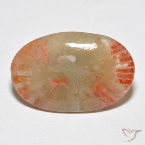 6.23 ct Multicolor Coral Stone, Natural Coral in Oval Cabochon Shape for Sale